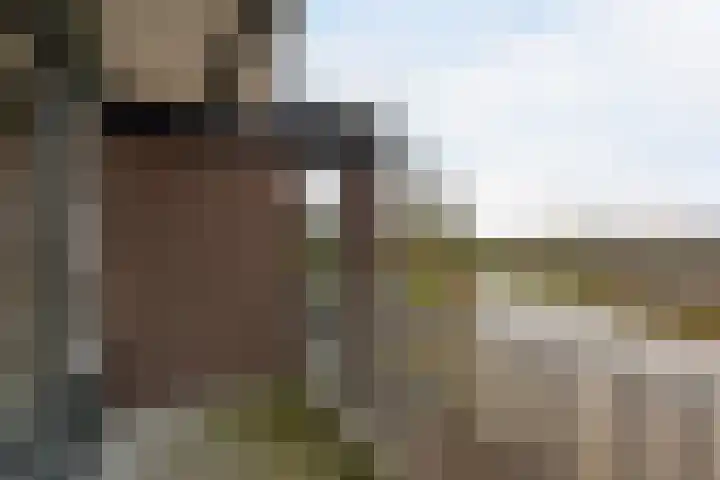 Eendracht 14 Wilnis thumbnail 10