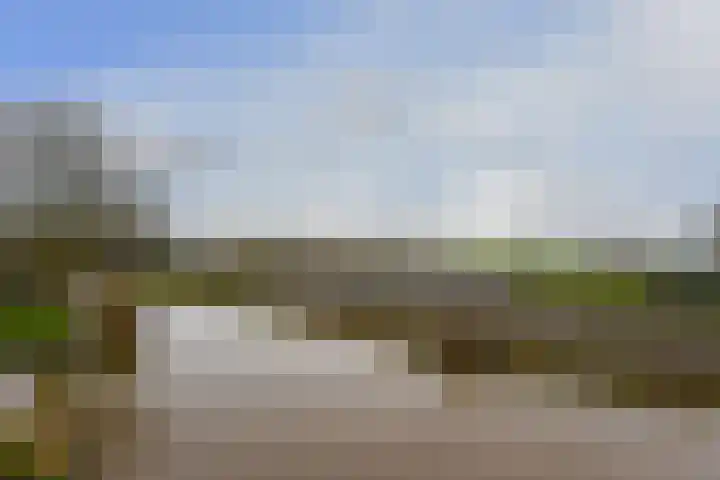 Eendracht 14 Wilnis thumbnail 11