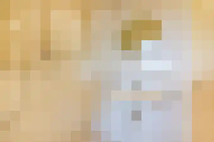Eendracht 14 Wilnis thumbnail 16