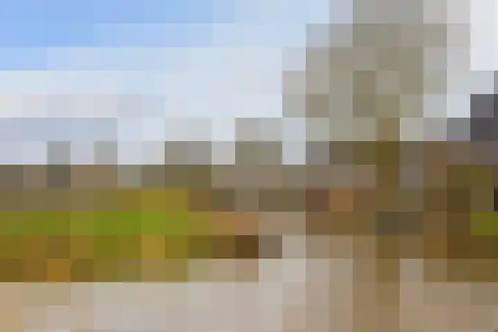Eendracht 14 Wilnis thumbnail 21
