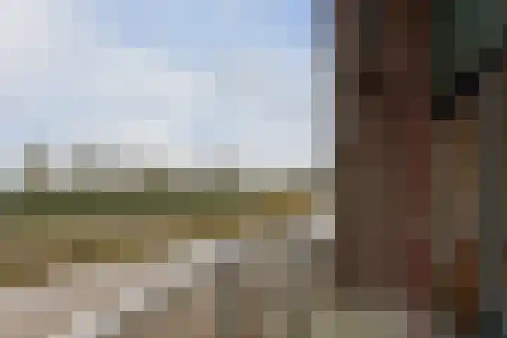 Eendracht 14 Wilnis thumbnail 9