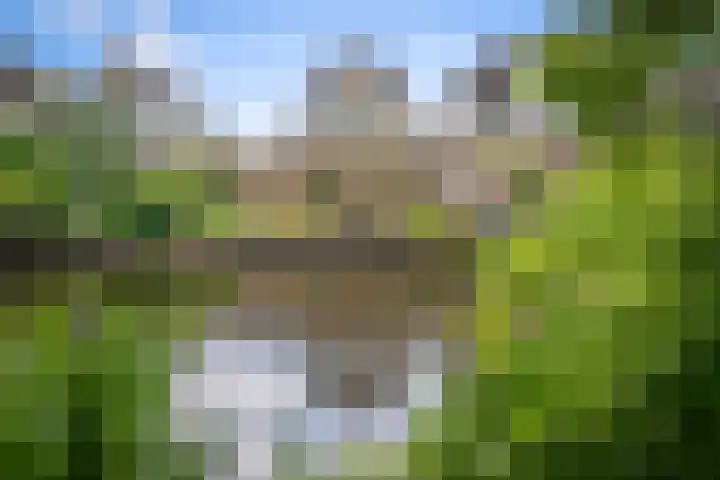 Eendracht 21 in Uithoorn