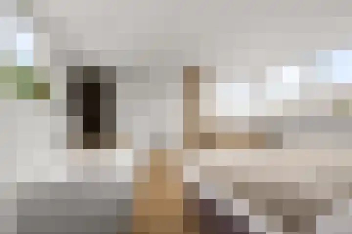 Eendracht 21 Uithoorn thumbnail 33