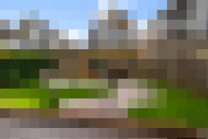 Eendracht 21 Uithoorn thumbnail 42