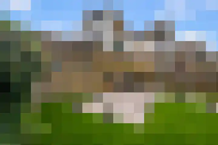 Eendracht 21 Uithoorn thumbnail 43