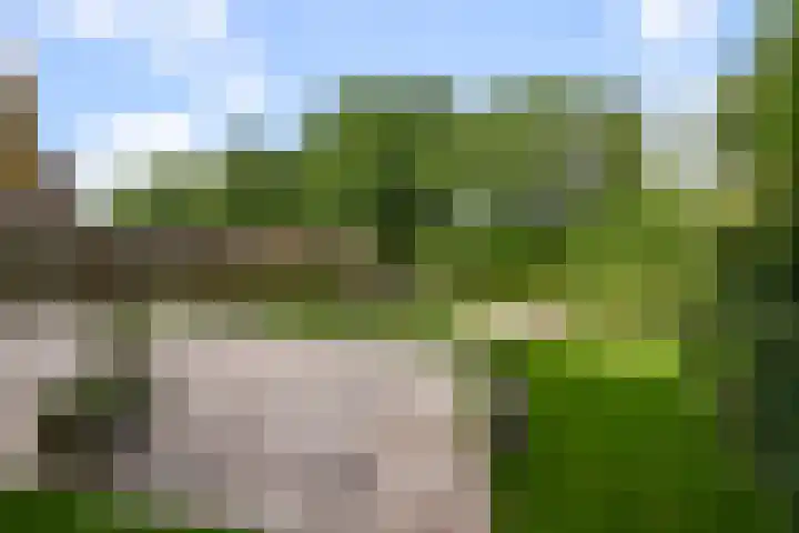 Eendracht 21 Uithoorn thumbnail 44