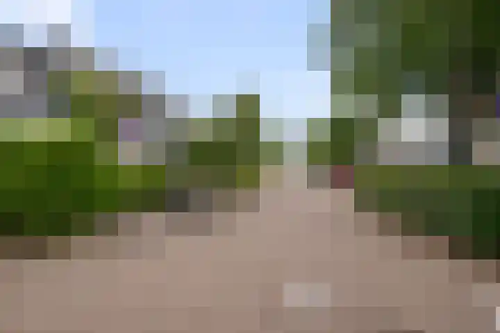 Eendracht 21 Uithoorn thumbnail 48