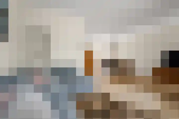 Eendracht 21 Uithoorn thumbnail 7