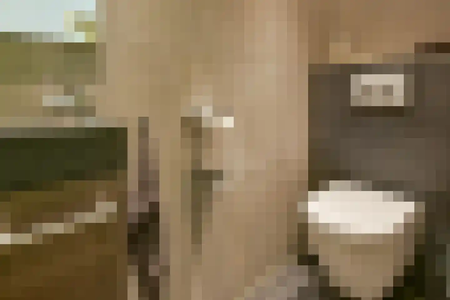 Eendracht 23 Uithoorn thumbnail 36