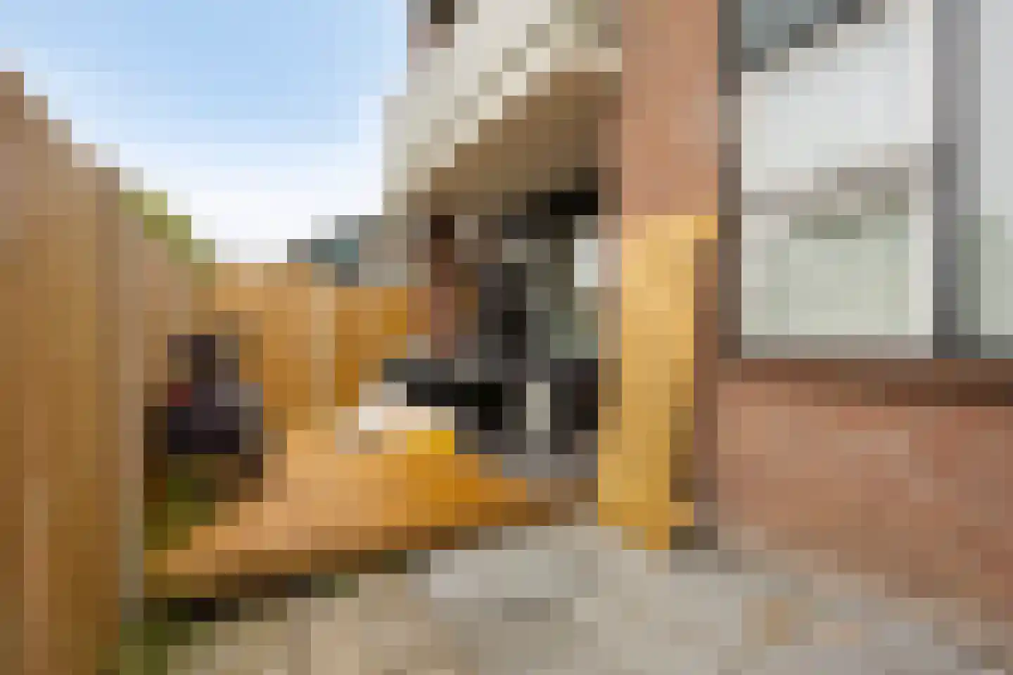 Eendracht 3 Wilnis thumbnail 18