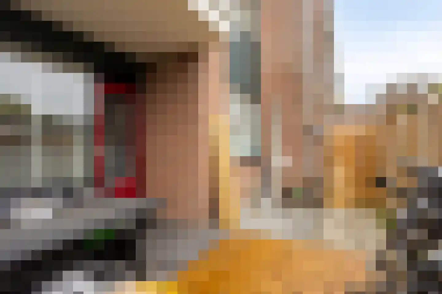 Eendracht 3 Wilnis thumbnail 19