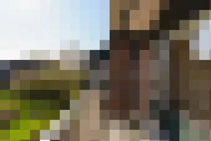 Eendracht 8 Wilnis thumbnail 15