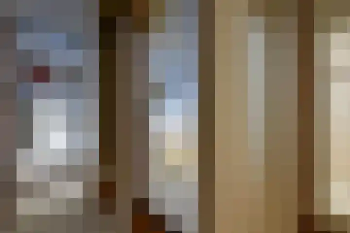 Eendracht 8 Wilnis thumbnail 16