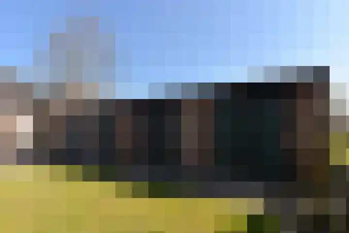 Eendracht 8 Wilnis thumbnail 20