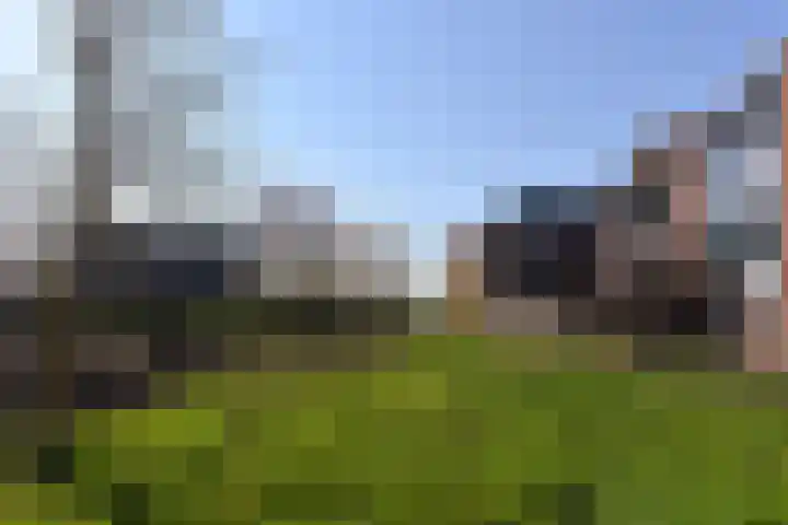 Eendracht 8 Wilnis thumbnail 21