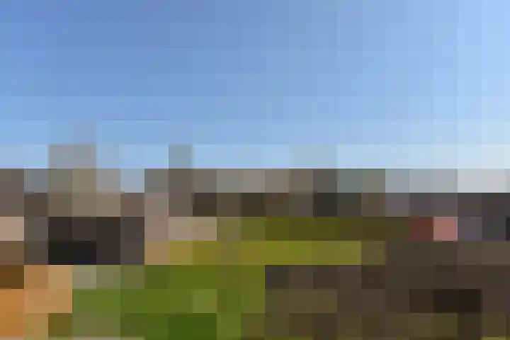 Eendracht 8 Wilnis thumbnail 22