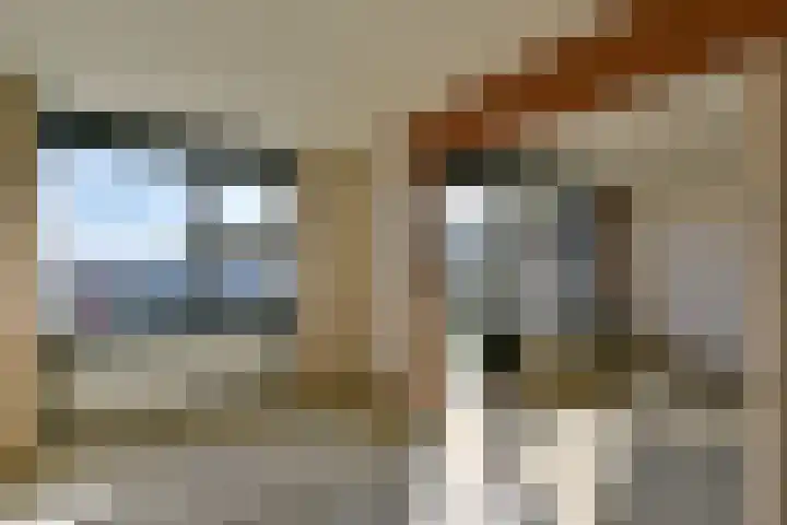 Eendracht 8 Wilnis thumbnail 6