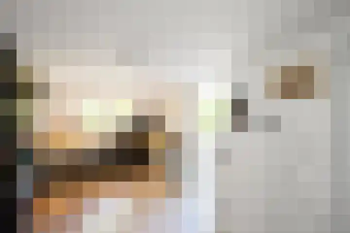 Eendrachtlaan 8 Breukelen thumbnail 13