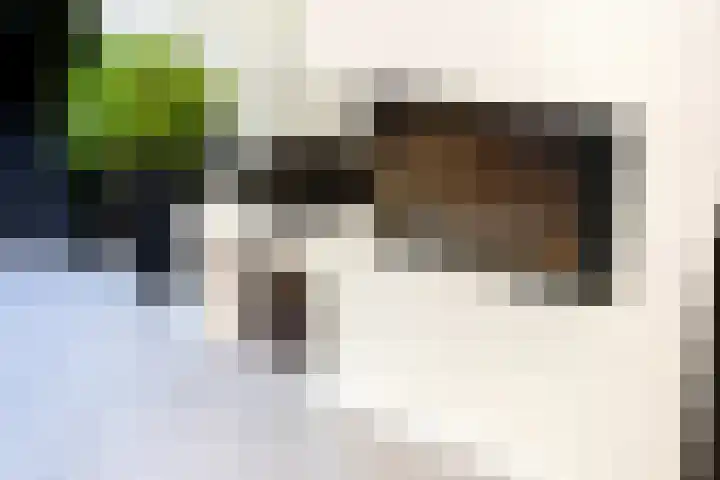 Eendrachtlaan 8 Breukelen thumbnail 16