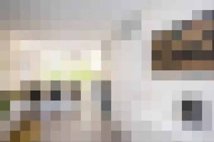 Eendrachtlaan 8 Breukelen thumbnail 17