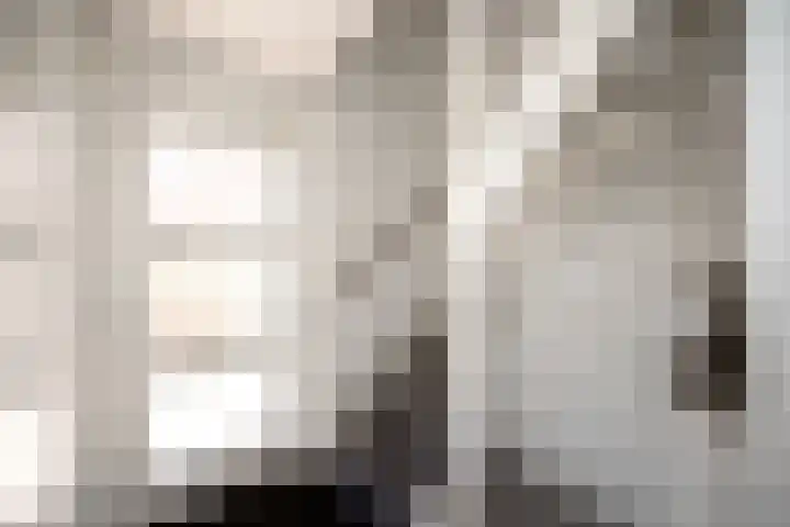 Eendrachtlaan 8 Breukelen thumbnail 7