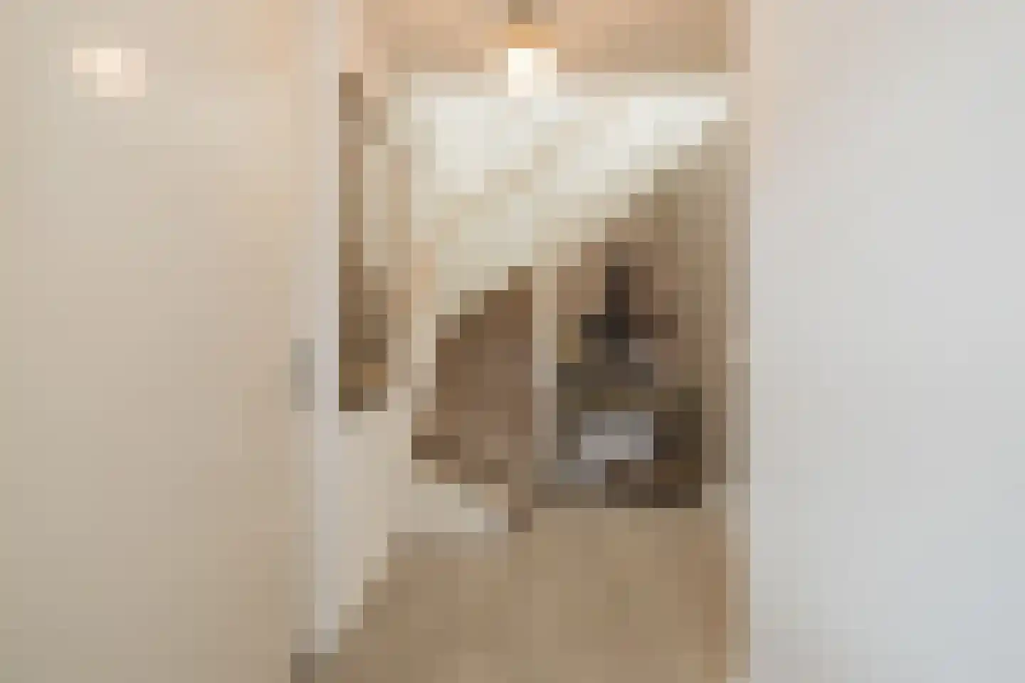 Eendrachtlaantje 2 Hillegom thumbnail 11
