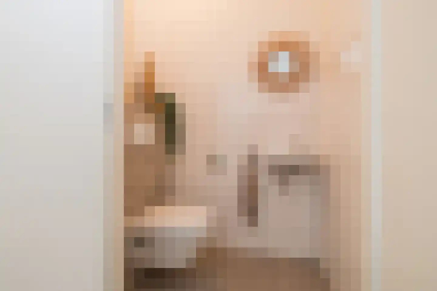 Eendrachtlaantje 2 Hillegom thumbnail 12