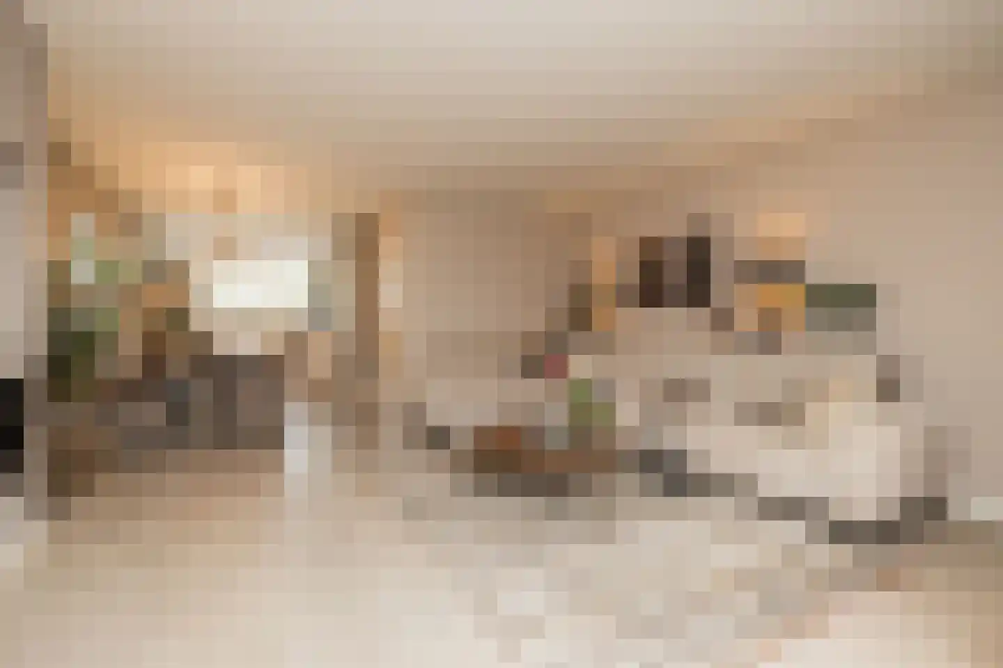 Eendrachtlaantje 2 Hillegom thumbnail 14