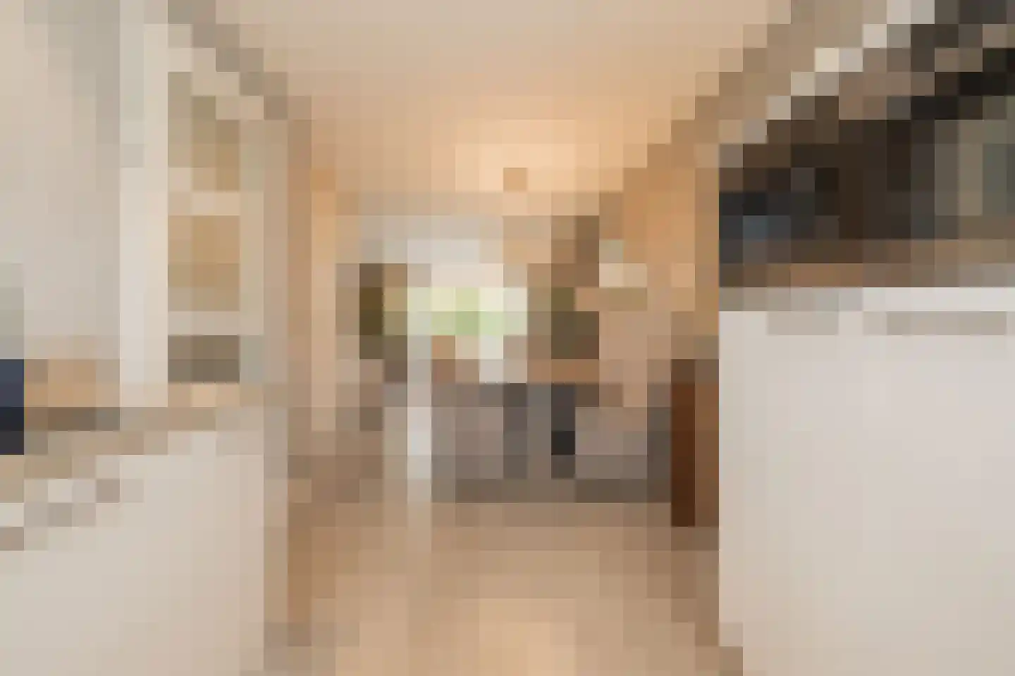 Eendrachtlaantje 2 Hillegom thumbnail 16