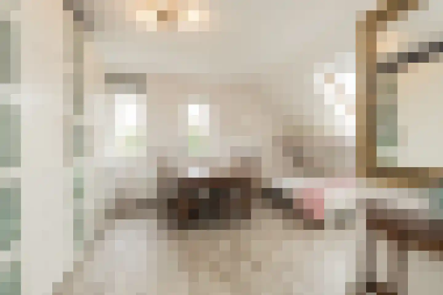 Eendrachtlaantje 2 Hillegom thumbnail 23