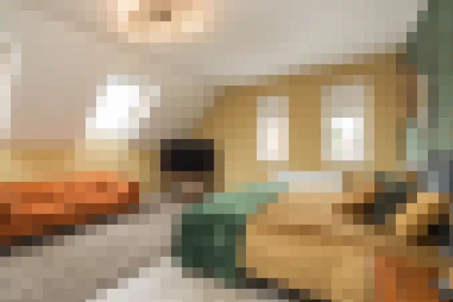 Eendrachtlaantje 2 Hillegom thumbnail 24