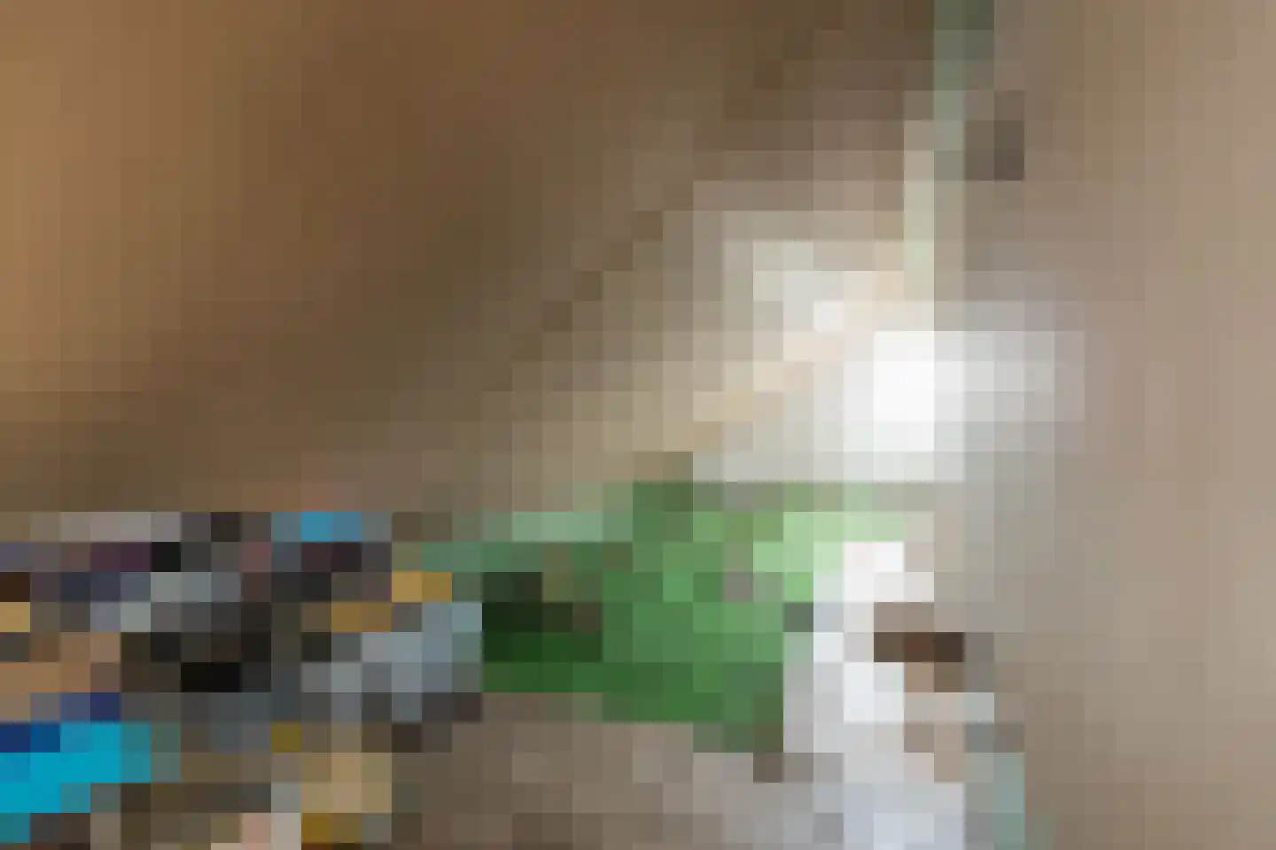 Eendrachtlaantje 2 Hillegom thumbnail 26