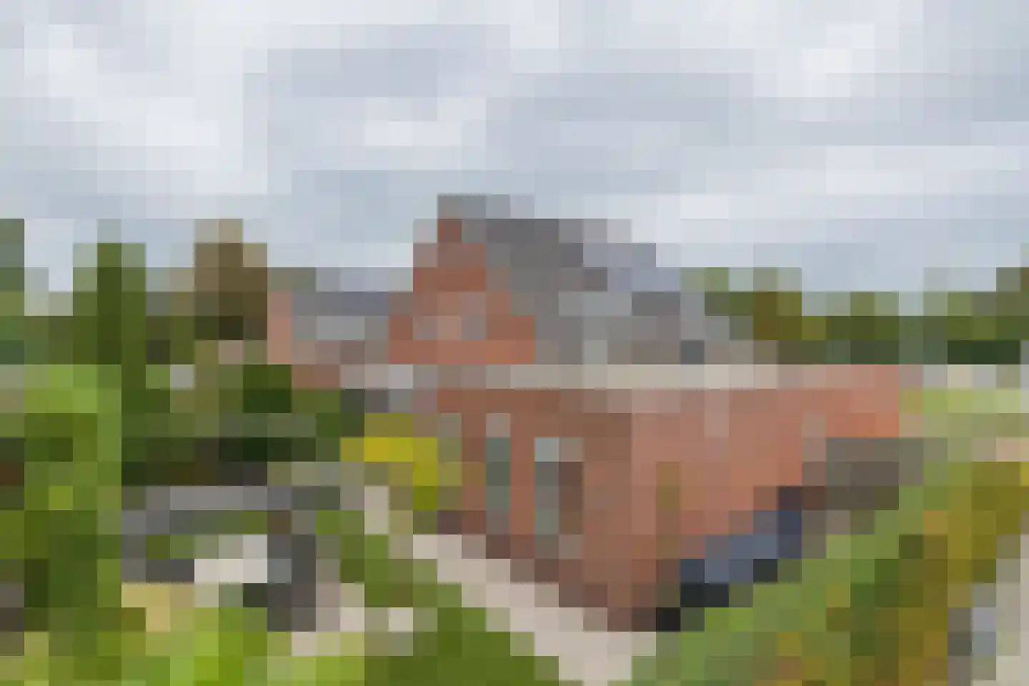 Eendrachtlaantje 2 Hillegom thumbnail 27