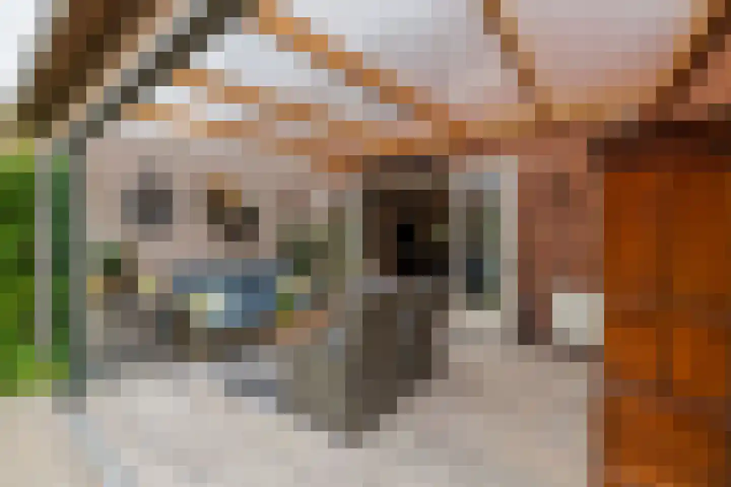 Eendrachtlaantje 2 Hillegom thumbnail 28