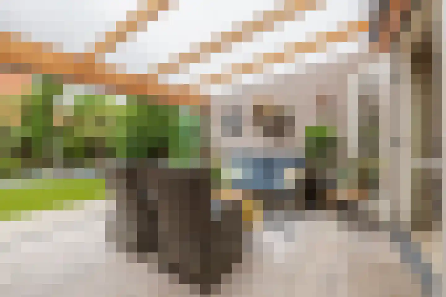 Eendrachtlaantje 2 Hillegom thumbnail 29