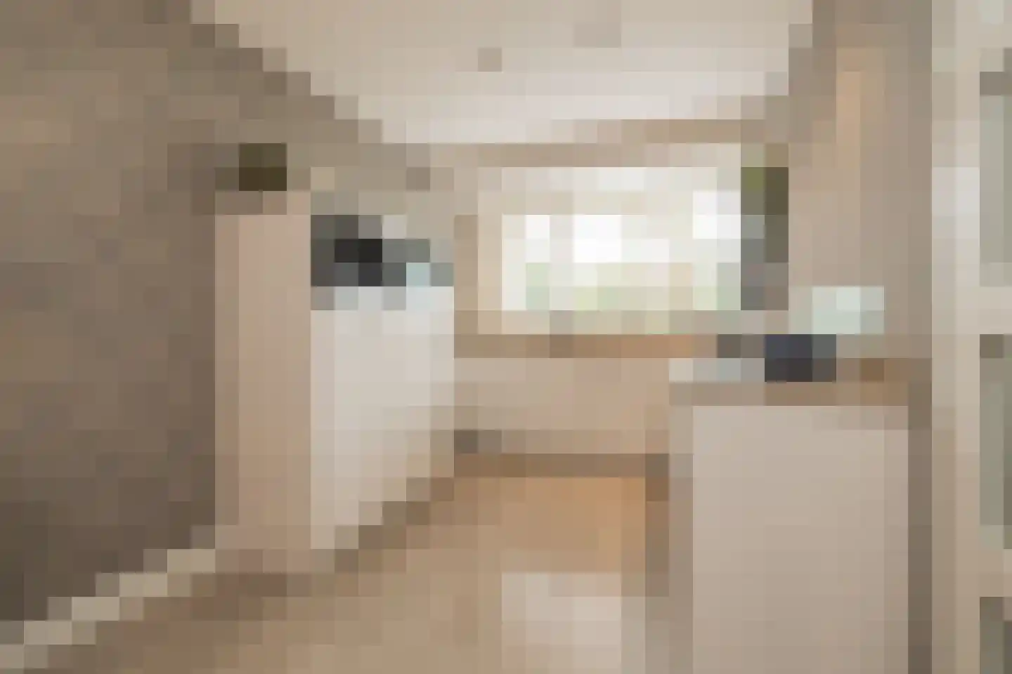 Eendrachtlaantje 2 Hillegom thumbnail 4