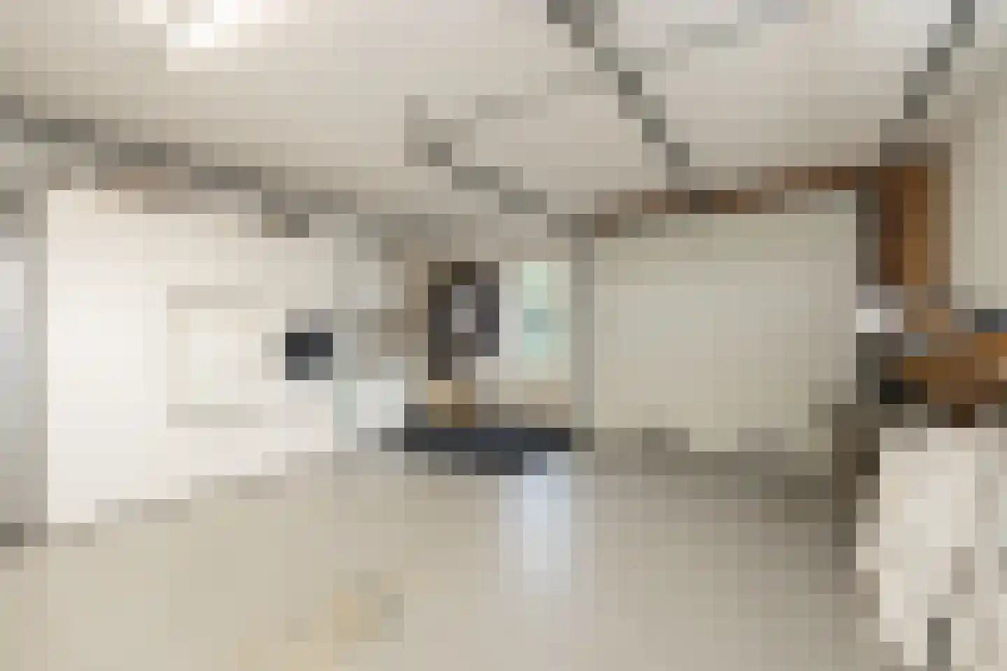 Eendrachtlaantje 2 Hillegom thumbnail 6
