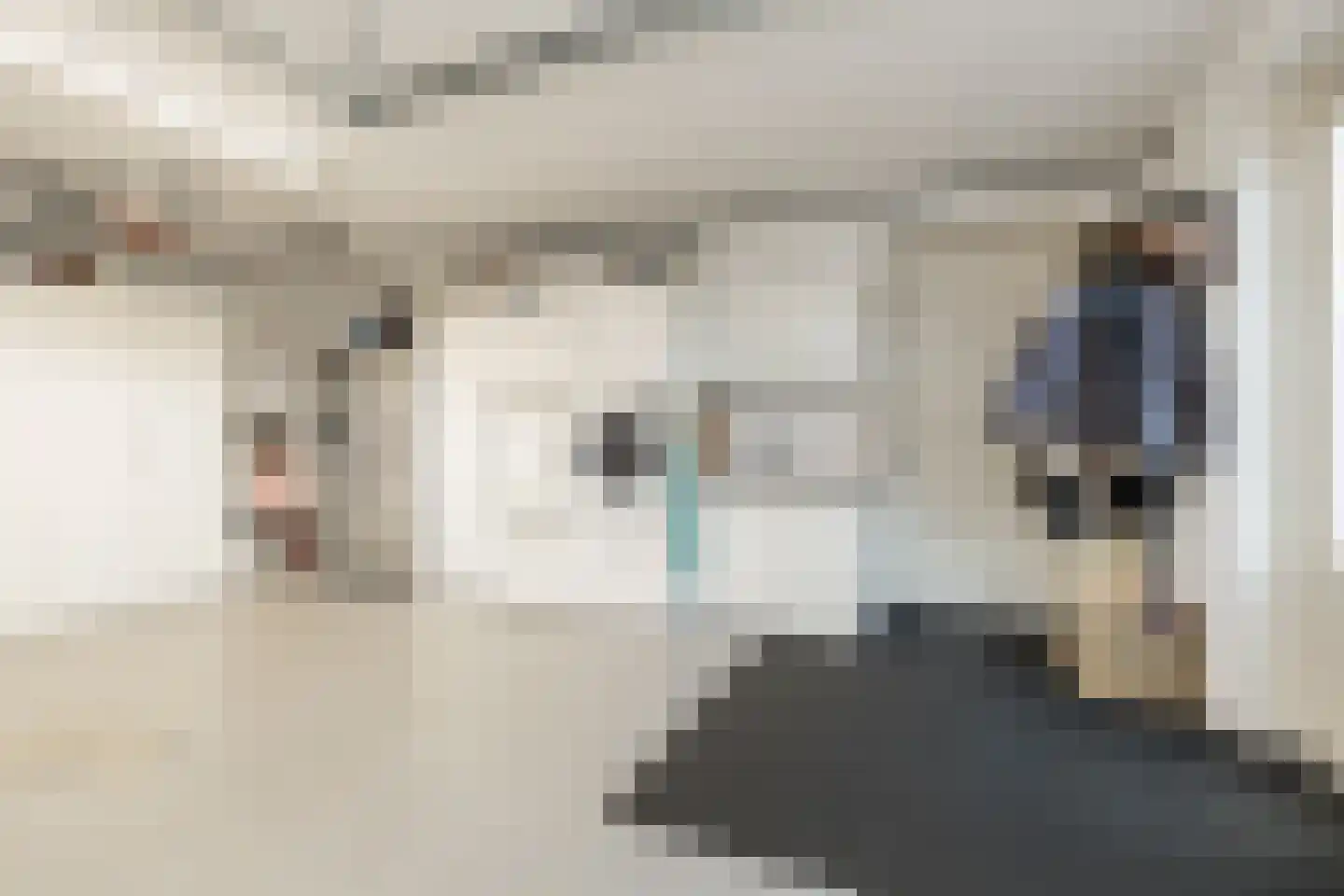 Eendrachtlaantje 2 Hillegom thumbnail 8