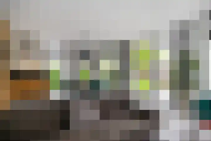 Eendrachtsdijk 2 a Zevenhuizen thumbnail 11