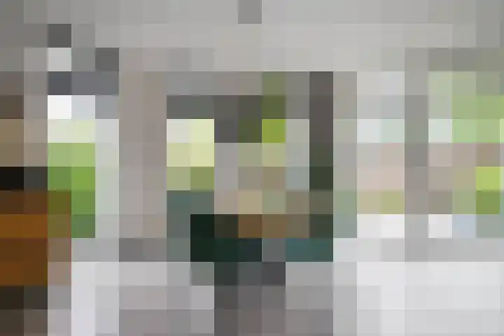 Eendrachtsdijk 2 a Zevenhuizen thumbnail 12