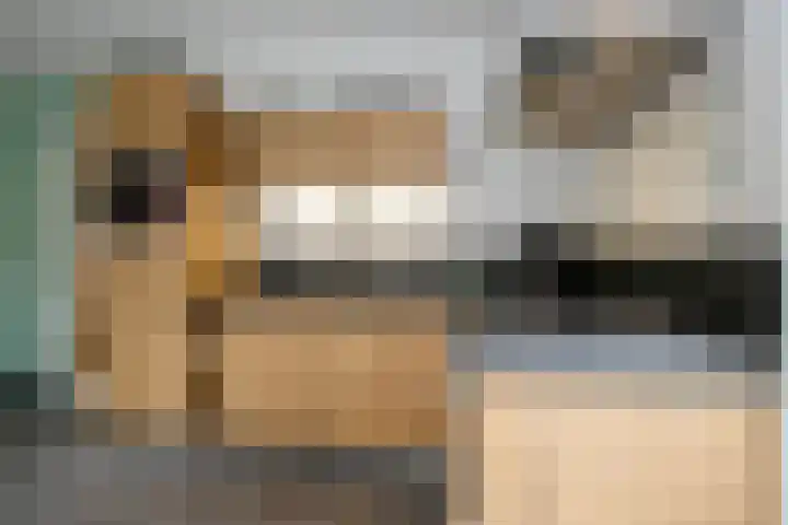 Eendrachtsdijk 2 a Zevenhuizen thumbnail 14