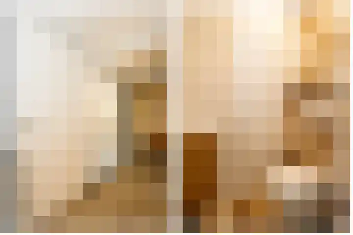 Eendrachtsdijk 2 a Zevenhuizen thumbnail 15