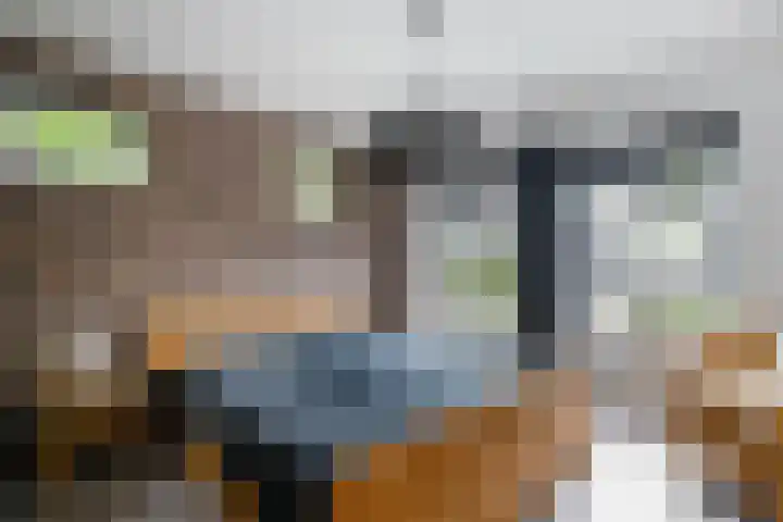 Eendrachtsdijk 2 a Zevenhuizen thumbnail 18