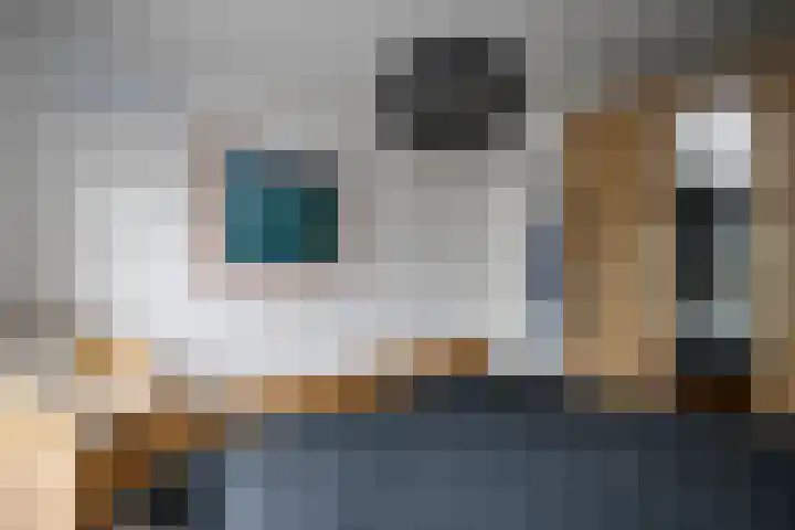 Eendrachtsdijk 2 a Zevenhuizen thumbnail 19