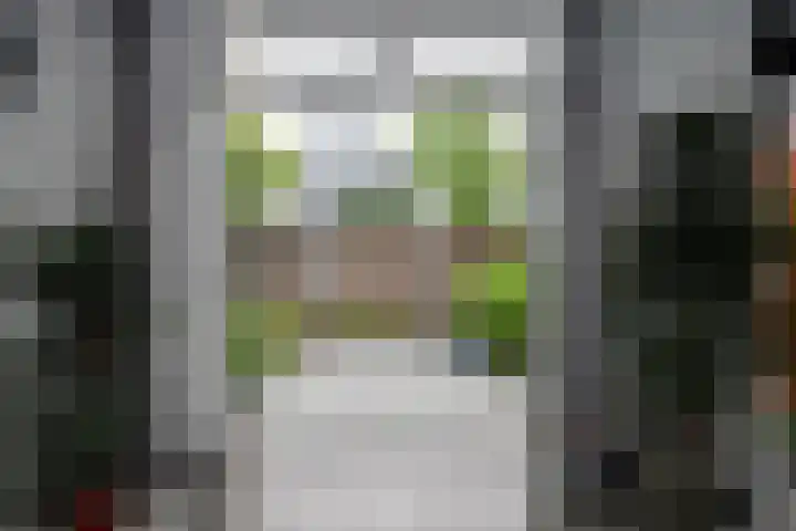 Eendrachtsdijk 2 a Zevenhuizen thumbnail 21