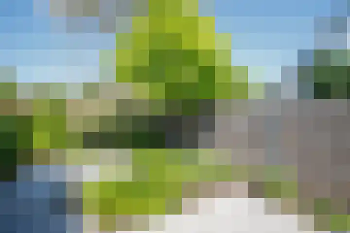 Eendrachtsdijk 2 a Zevenhuizen thumbnail 24