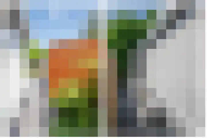 Eendrachtsdijk 2 a Zevenhuizen thumbnail 26