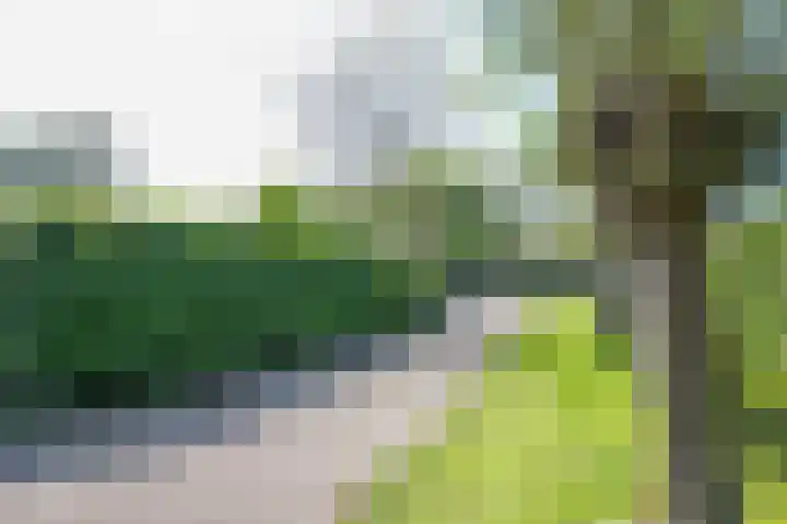 Eendrachtsdijk 2 a Zevenhuizen thumbnail 27