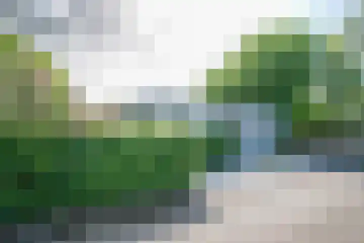 Eendrachtsdijk 2 a Zevenhuizen thumbnail 29