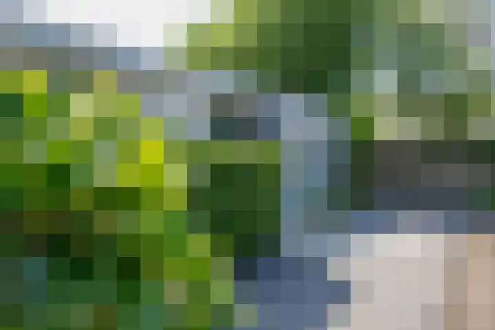 Eendrachtsdijk 2 a Zevenhuizen thumbnail 30